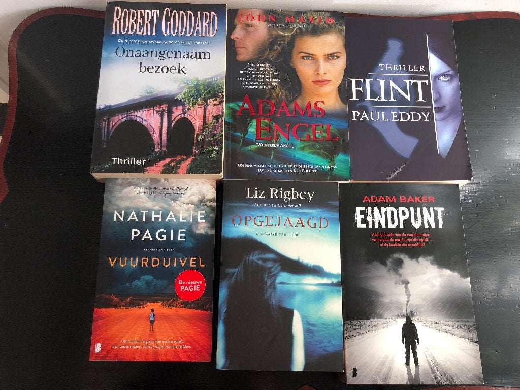 Set van 6 boeken Robert Goddard, Nathalie Pagie, Ophalen of Verzenden, Gelezen