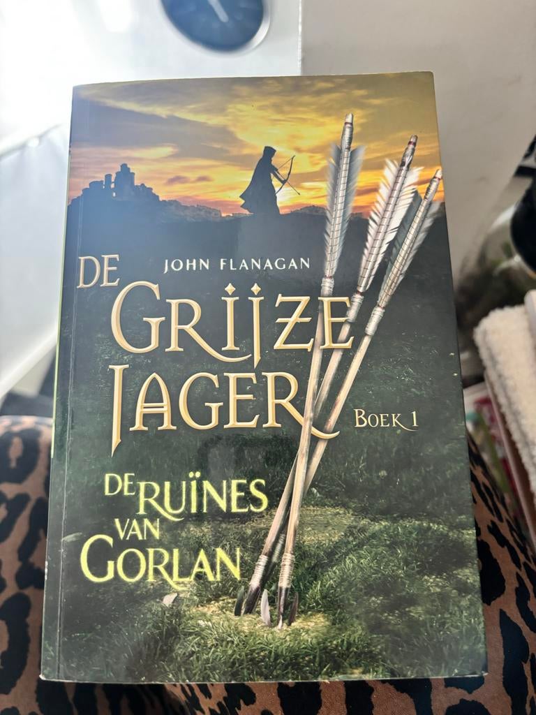 De Grijze Jager Boek 1: De Ruïnes van Gorlan, Boeken, Ophalen of Verzenden, Gelezen