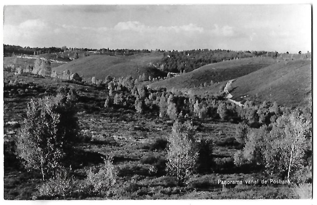Panorama van af de Posbank  Ansichtkaart (B594) uit 1966, Ophalen of Verzenden, 1960 tot 1980, Gelopen