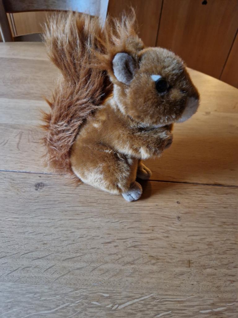 PLUCHE EEKHOORN 🌰🫘🥜, Ophalen of Verzenden, Nieuw, Overige typen