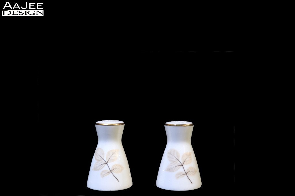 Rosenthal – Form 2000 – Zout- en peperstel – Raymond Loewy, Overige typen, Ophalen of Verzenden, Zo goed als nieuw, Overige stijlen