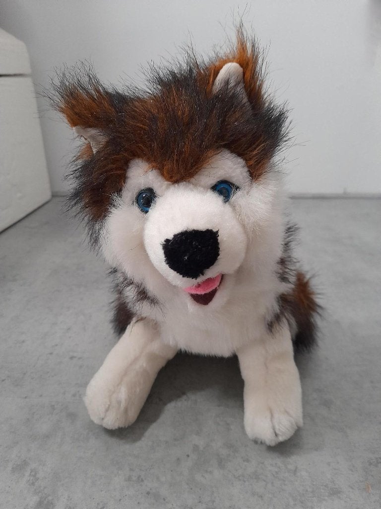 Knuffel HUSKY HOND, Kinderen en Baby's, Speelgoed | Knuffels en Pluche, Zo goed als nieuw, Hond, Wasbaar, Ophalen of Verzenden