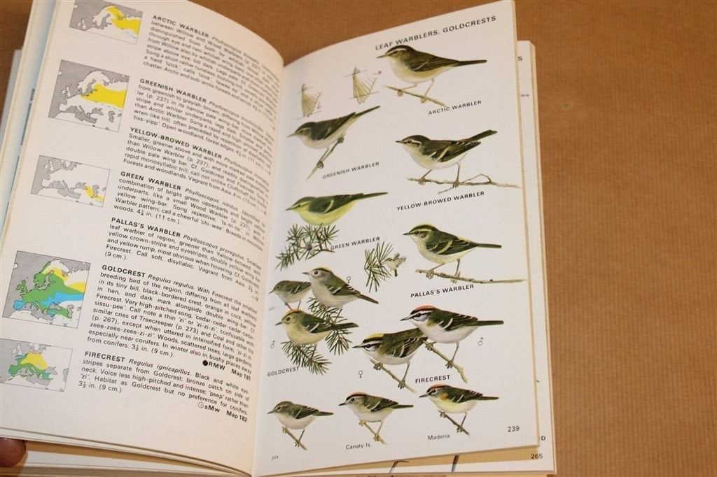Collins Vogelgids — Europa, N-Afrika & Midden-Oosten, Ophalen of Verzenden, Gelezen, Vogels
