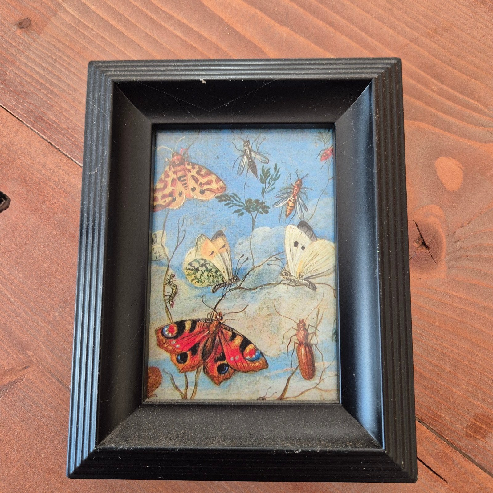 Vintage lijstje met vlinders en insecten, Huis en Inrichting, Woonaccessoires | Lijsten, Overige materialen, Minder dan 50 cm