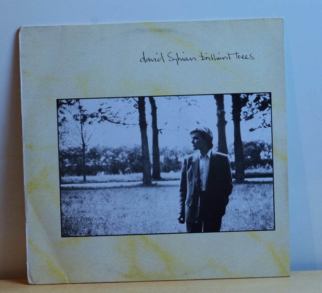 David Sylvian -  Brilliant Trees, LP, Gebruikt, Ophalen of Verzenden, Beschermende buitenhoes
