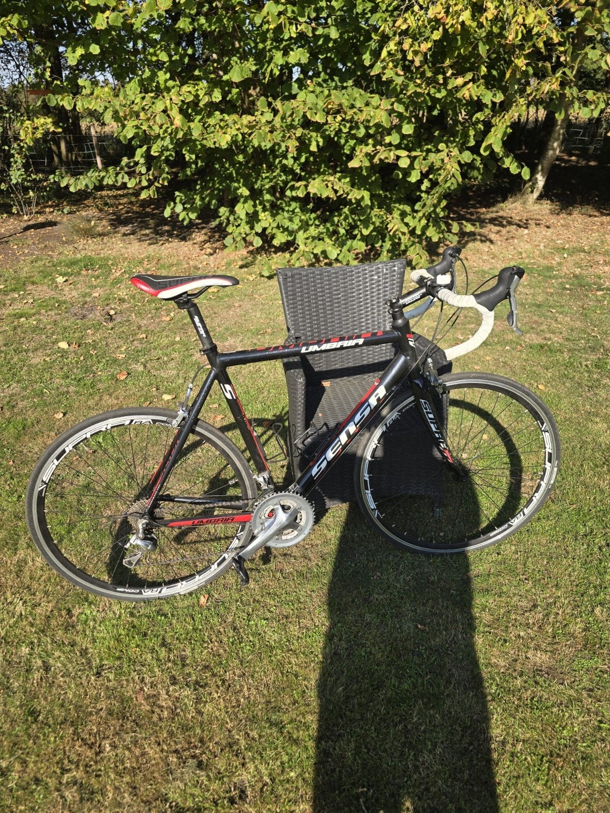 racefiets  Sensa Umbria, Gebruikt, 57 tot 61 cm, Meer dan 20 versnellingen, Ophalen