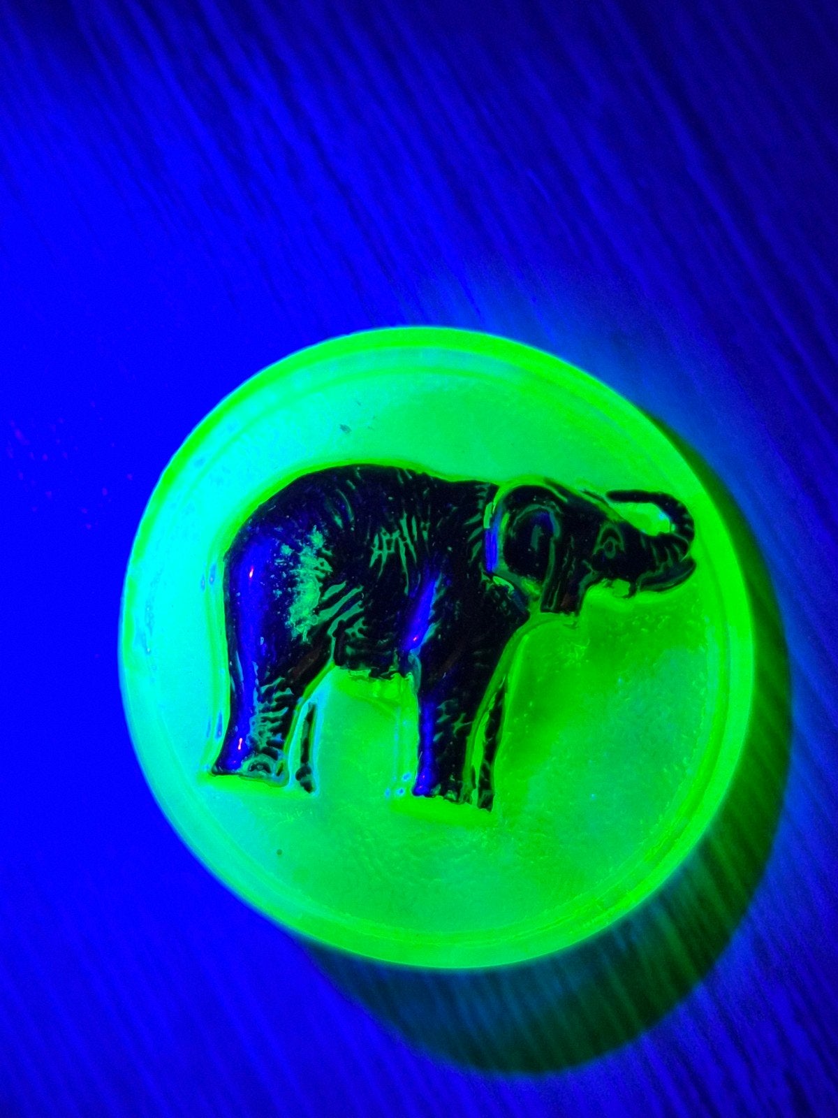 Uranium knoop olifant(beschadigd), Ophalen of Verzenden