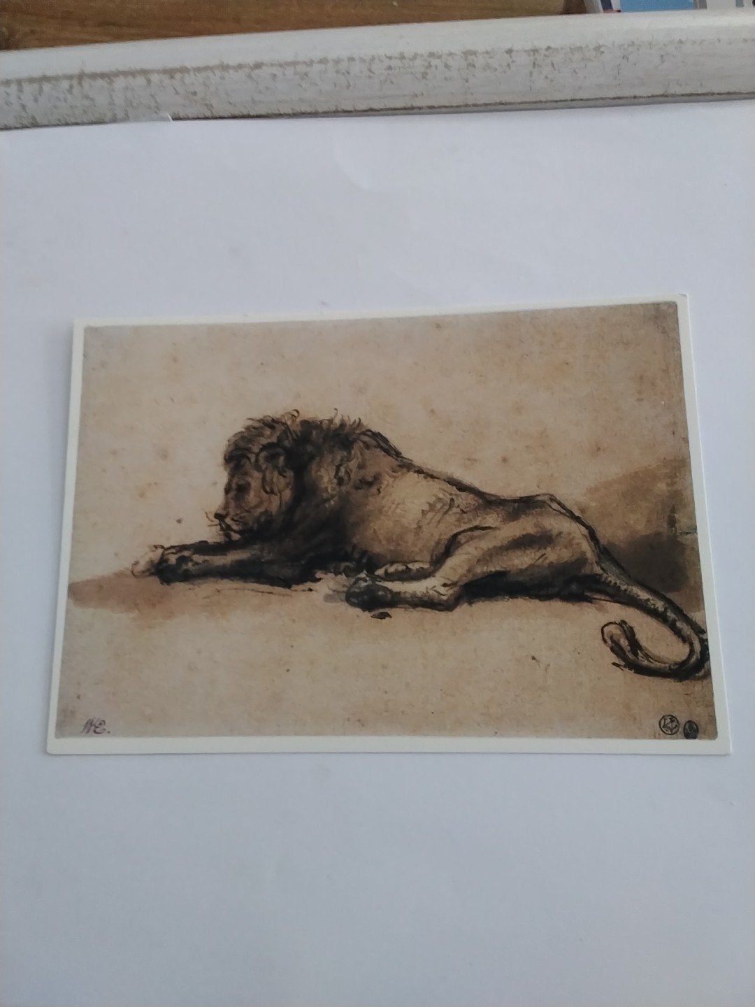 LIGGENDE LEEUW. REMBRANDT HARMENSZ VAN RIJN, Ophalen of Verzenden, Klederdracht