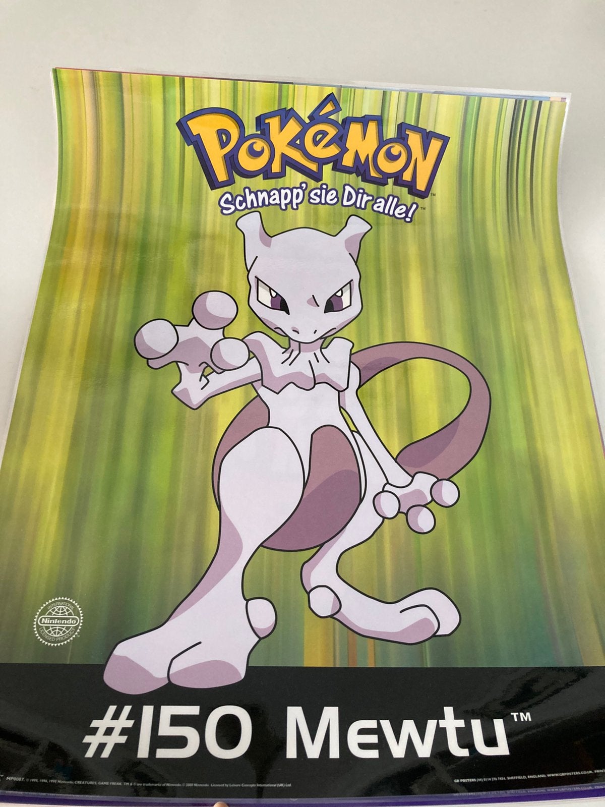 Diverse geplastificeerde Pokémon posters, Verzamelen, Rechthoekig Staand, Nieuw, Ophalen of Verzenden, A1 t/m A3