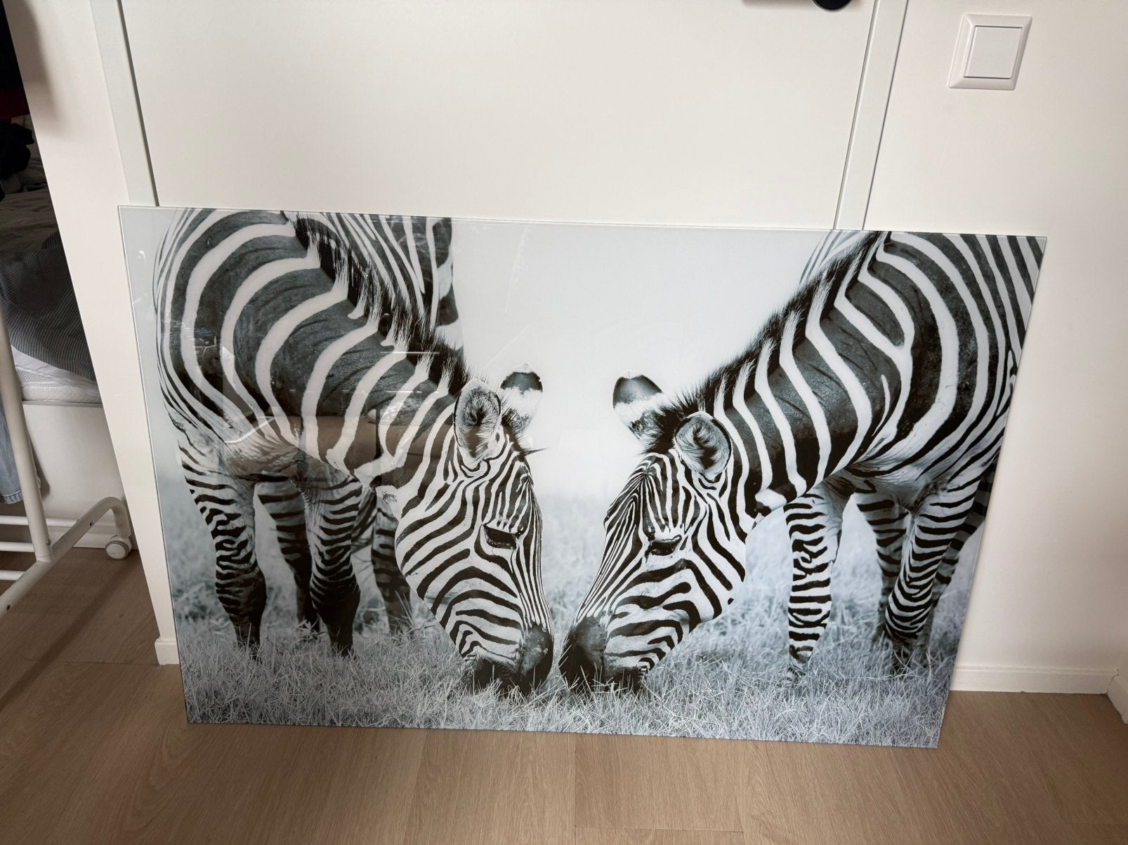 Zwart wit foto zebra’s op glas, Ophalen, Zo goed als nieuw, Schilderij