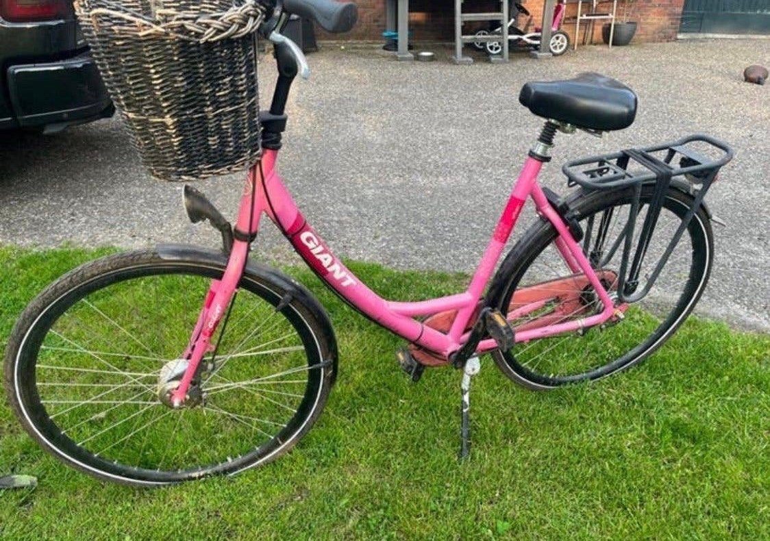 Giant fiets, Fietsen en Brommers, Fietsen | Meisjes, Ophalen, Zo goed als nieuw, 26 inch of meer