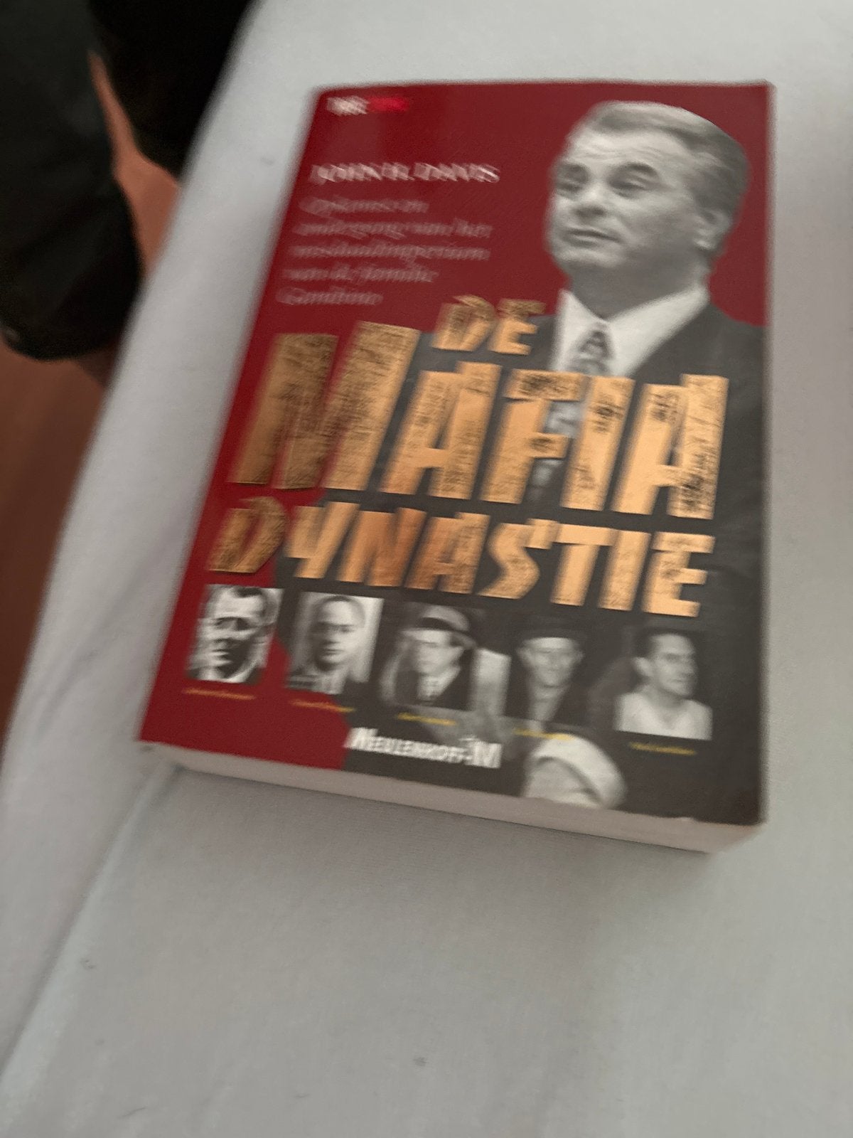 De Mafia Dynastie - John H. Davis, Ophalen of Verzenden, Zo goed als nieuw, Amerika