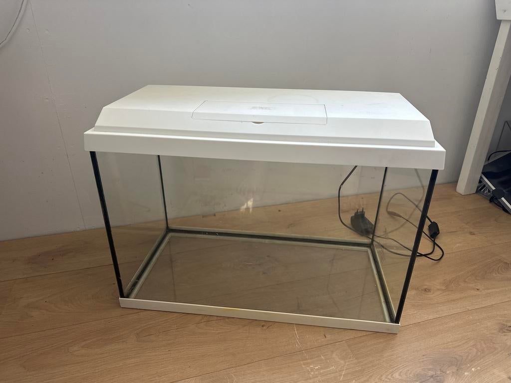 Juwel aquarium, Ophalen, Gebruikt, Leeg aquarium, Juwel