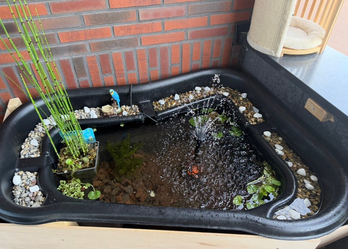 Vijver + pomp excl. planten en stenen, Ophalen, Zo goed als nieuw