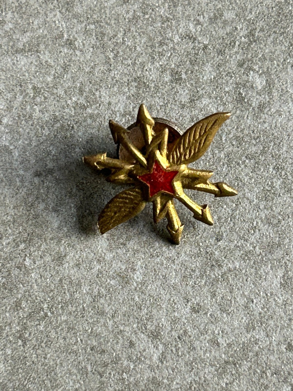 militaire kraagembleem of petinsigne (schroef, Ophalen of Verzenden, Overige gebieden