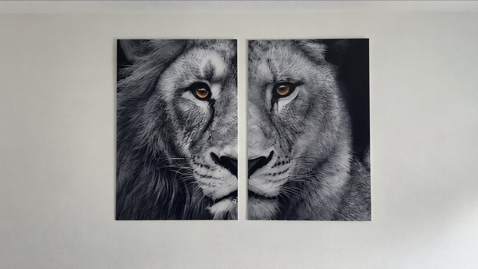 Set van 2 leeuwenschilderijen – zwart-wit, Ophalen, 50 – 75, Nieuw, Schilderij