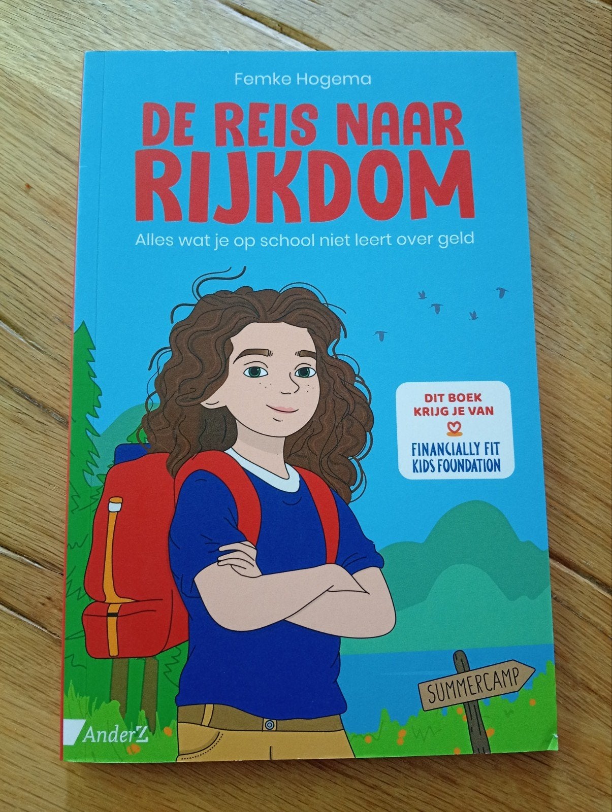 De Reis naar Rijkdom - Femke Hogema (Financiële Educatie), Ophalen of Verzenden