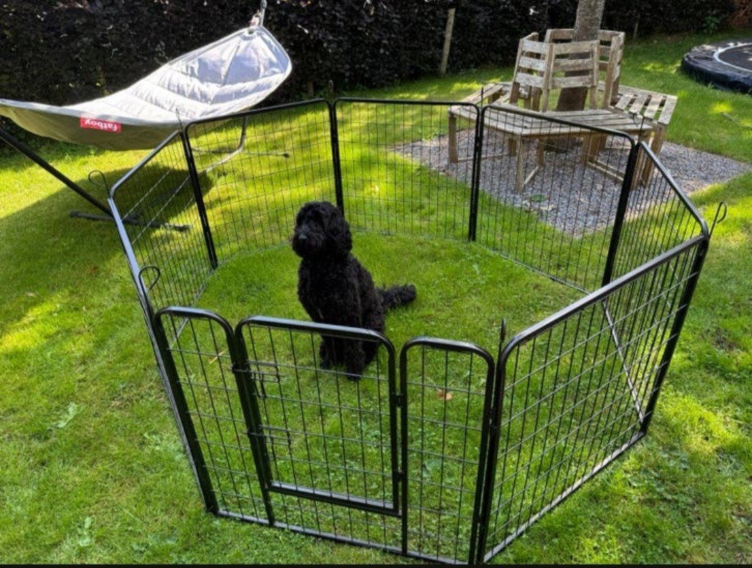 Puppyren te Huur, Ophalen