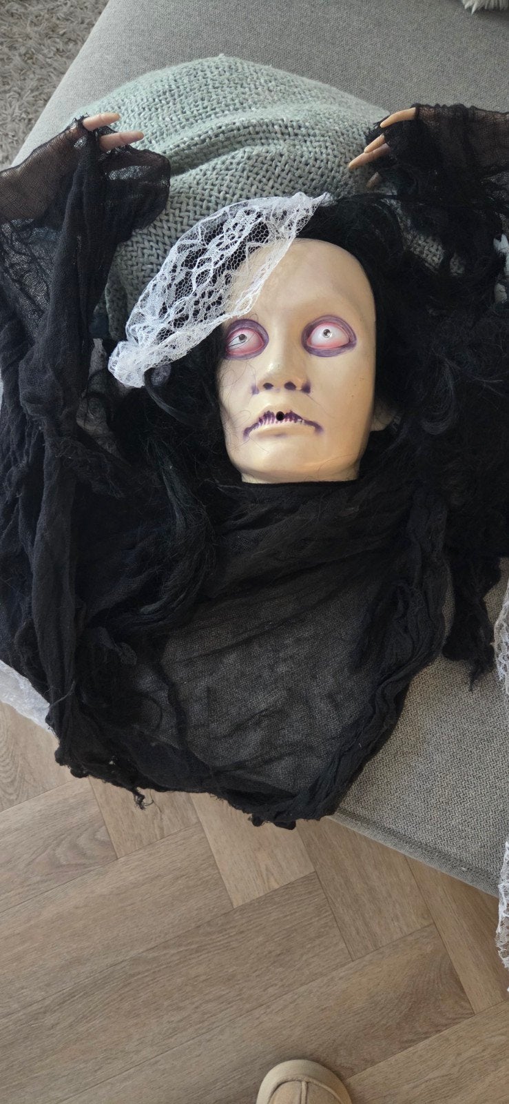 Groot pakket Halloween spullen, Ophalen of Verzenden, Zo goed als nieuw, Versiering, Halloween of Griezel