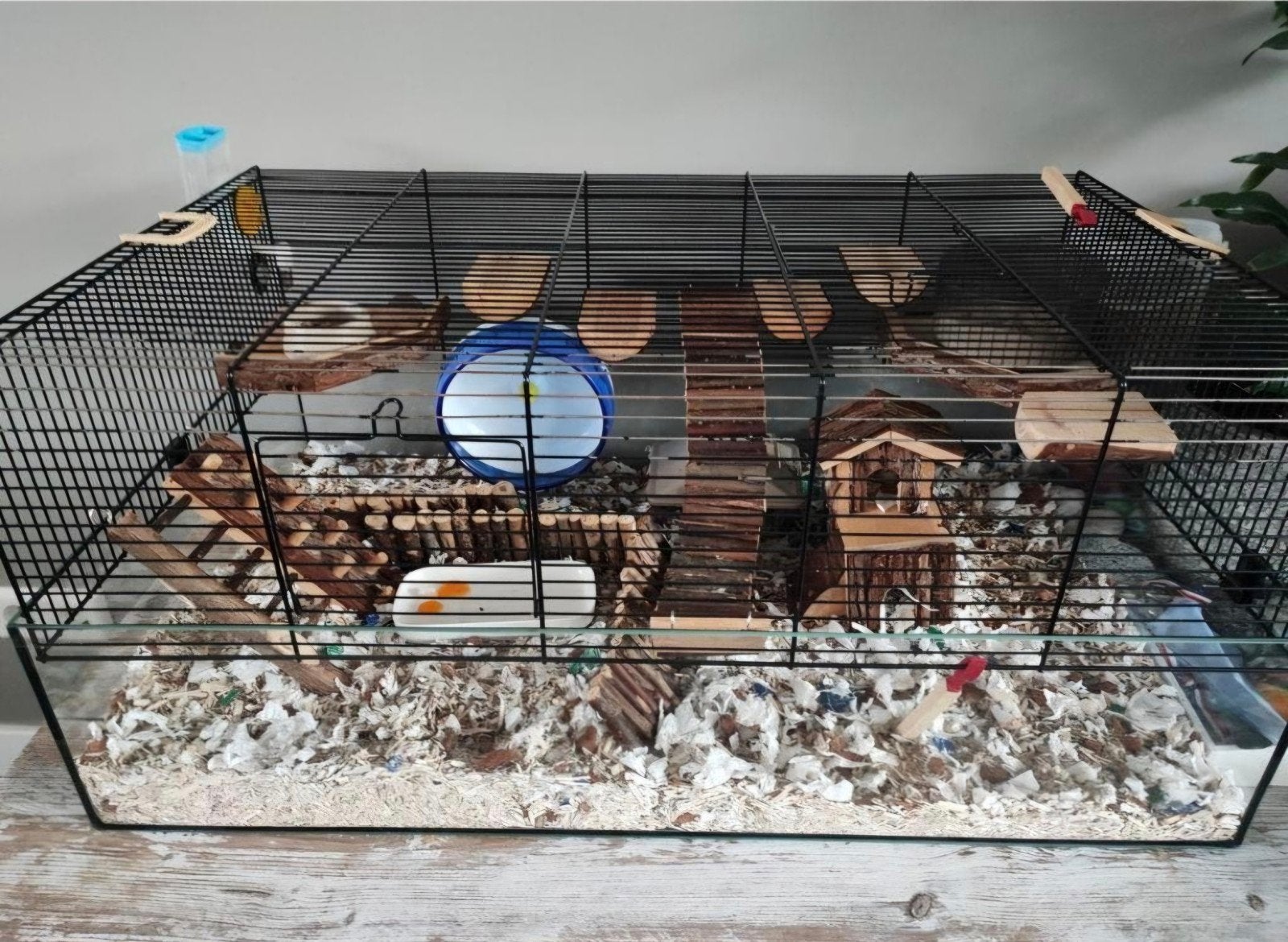Hamsterkooi met veel extra's, Dieren en Toebehoren, Ophalen, Gebruikt, Loopwiel of Rad
