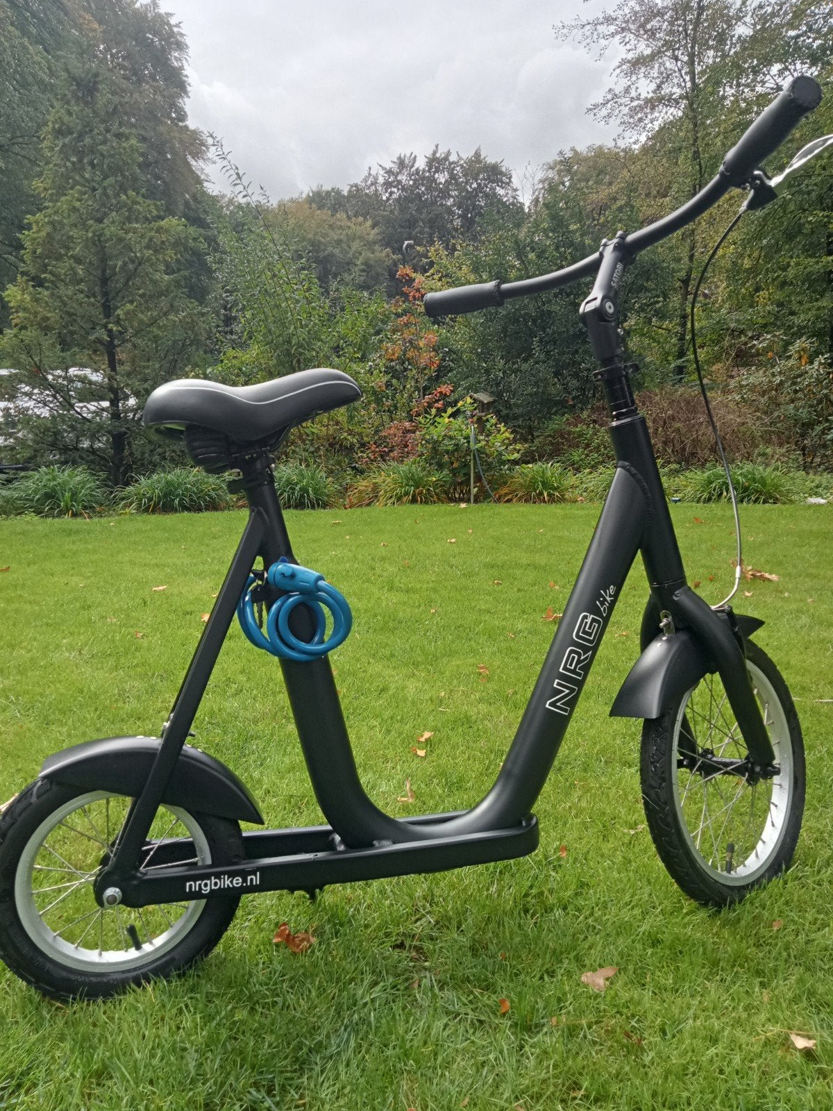Loopfiets volwassenen NRGbike, Ophalen, Zo goed als nieuw, Overige typen, NRGbike