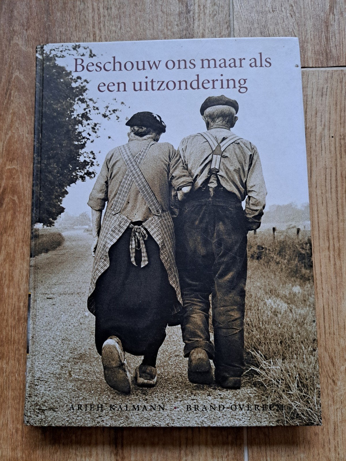 Beschouw ons maar als een uitzondering - Ariëh Kalman, Ophalen of Verzenden, Zo goed als nieuw, Ariëh Kalman, Overige