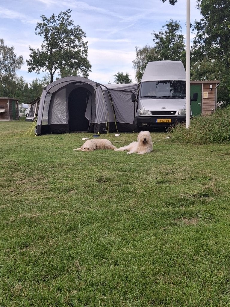 Bustent, Caravans en Kamperen, Ophalen, Gebruikt, Tot en met 2