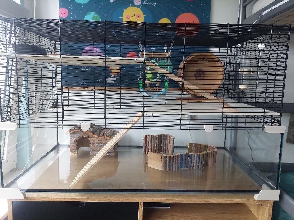 Knaagdierkooi Karat 80 glas, Minder dan 60 cm, Kooi, Ophalen of Verzenden, Zo goed als nieuw