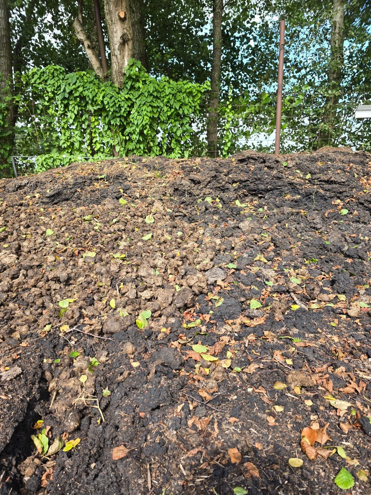 Gratis paardenmest, Tuin en Terras, Ophalen, Tuinaarde