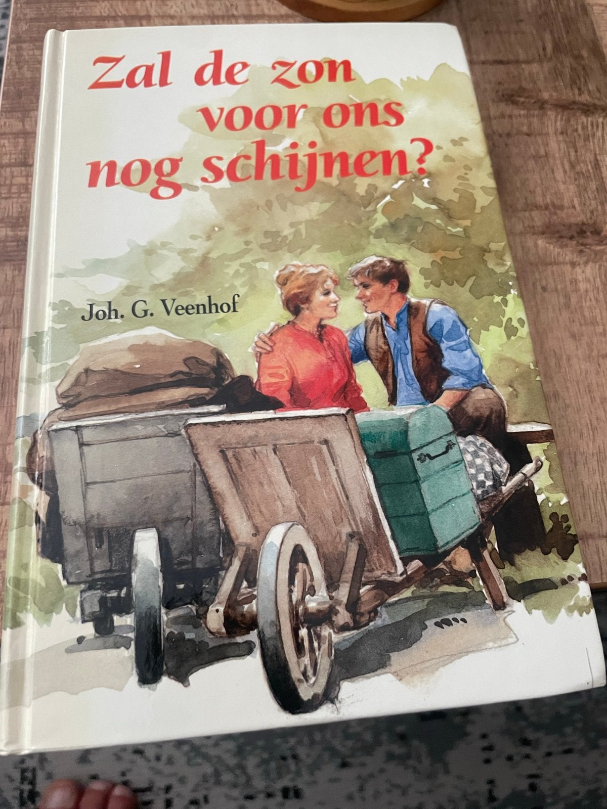Zal de zon voor ons nog schijnen? - Joh. G. Veenhof, Ophalen of Verzenden, Gelezen, Nederland