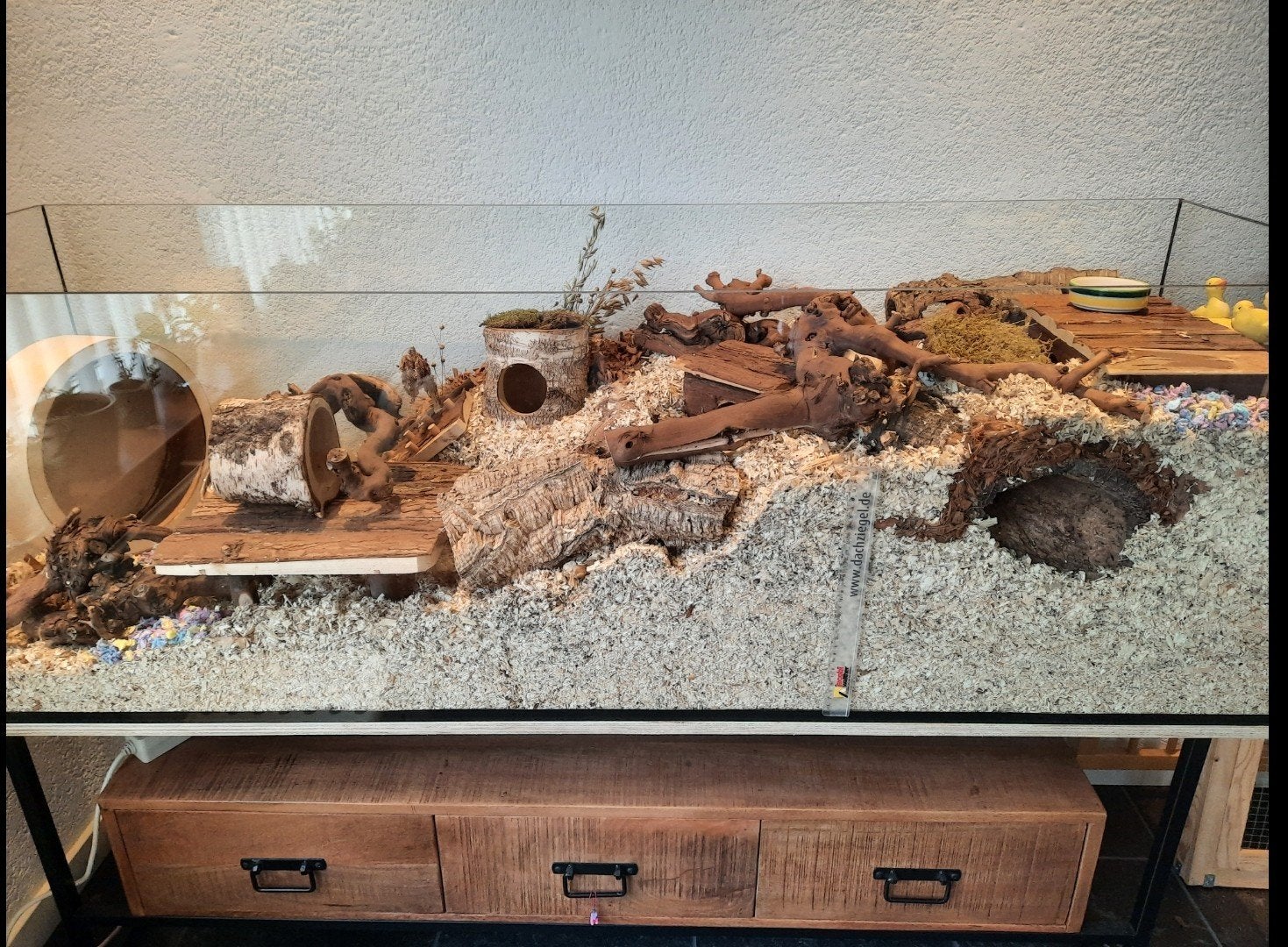 Terrarium 160x50x50 met inrichting goudhamster, Ophalen, Minder dan 60 cm, 110 cm of meer, Gebruikt