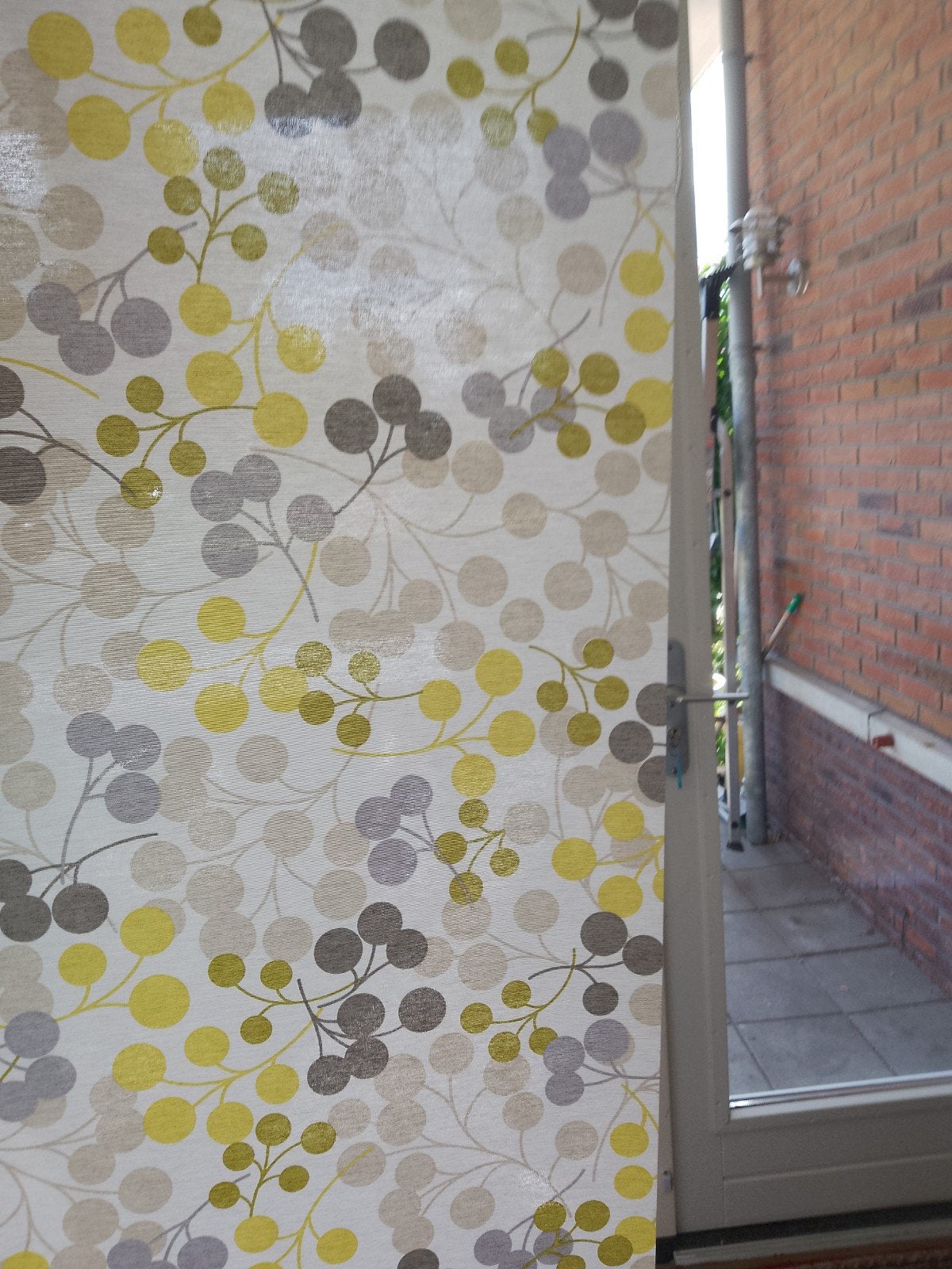 Rolgordijn met print - Grapes green (159,7x250 cm), Ophalen, Lichtdoorlatend, Overige merken, 160 cm