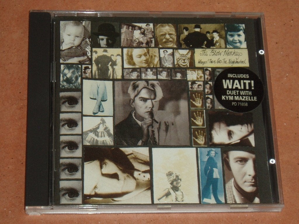CD The Blow Monkeys - Whoops there goes the neighbourhood, Cd's en Dvd's, Verzenden, Gebruikt, Poprock