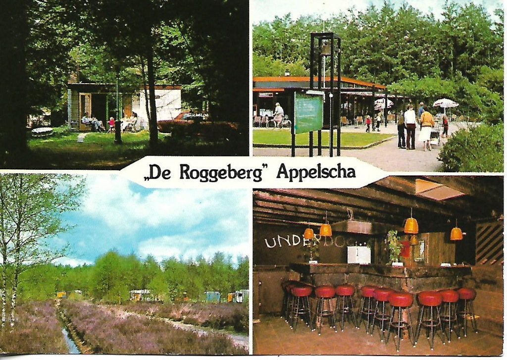 Appelscha- -4-luik., Verzenden, 1980 tot heden, Gelopen, Friesland