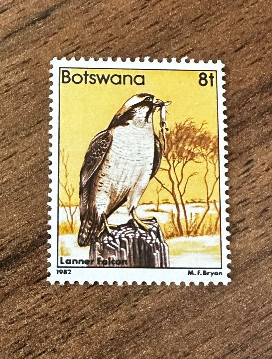 Botswana 1982 Valk Postfris - vogels roofvogels, Ophalen of Verzenden, Overige landen, Postfris