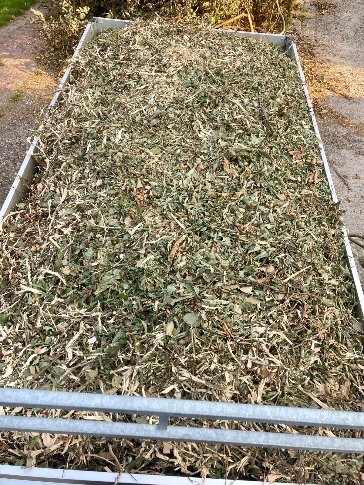 Houtsnippers beuk, Tuin en Terras, Overige Tuin en Terras, Ophalen