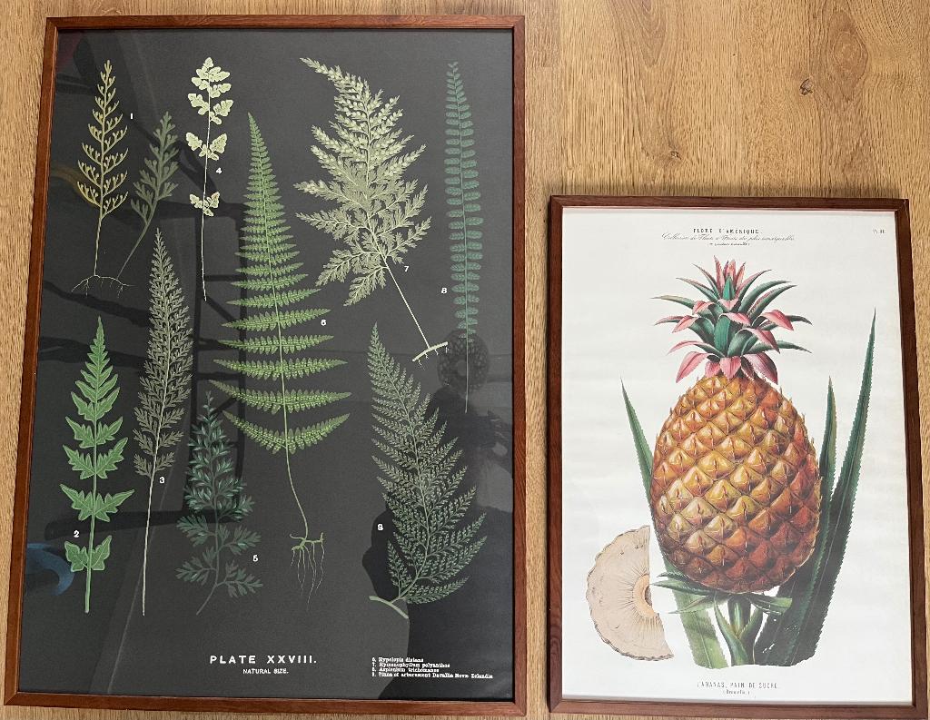 SKÖNA TING - posters + schilderij, Ophalen, Minder dan 50 cm, 50 tot 75 cm, Zo goed als nieuw
