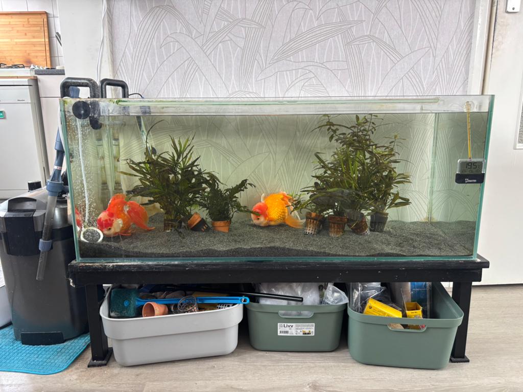 Open aquaruim bak, Ophalen, Zo goed als nieuw, Leeg aquarium