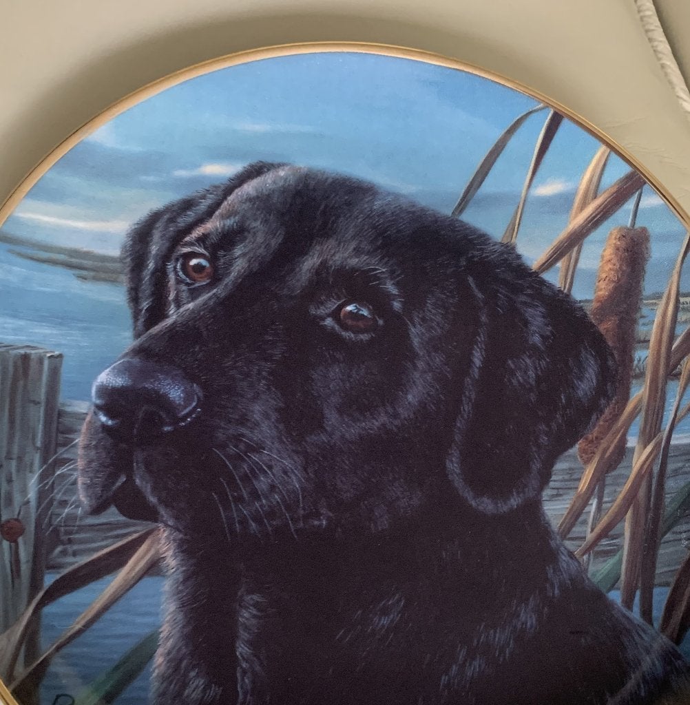Franklin Mint "Man's Best Friend" Labrador Retriever bord, Antiek en Kunst, Ophalen of Verzenden