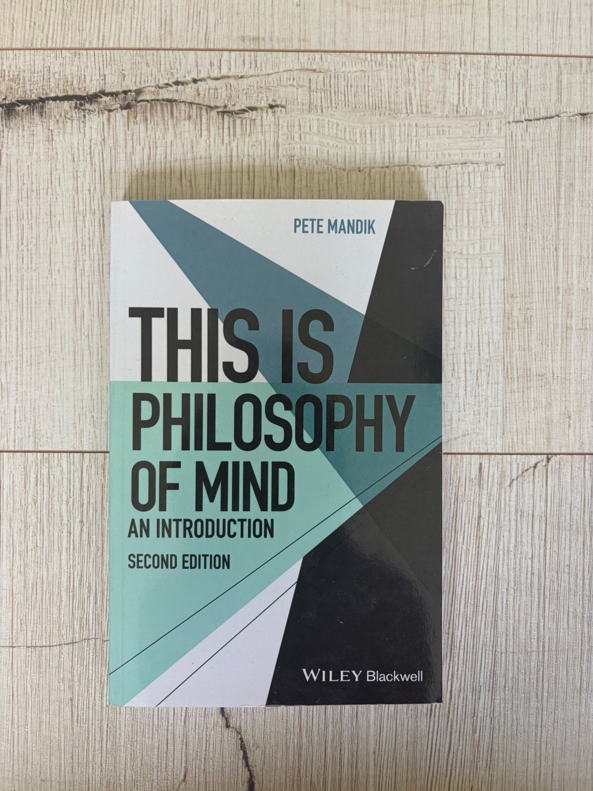 This Is Philosophy of Mind - An Introduction, Mandik, Boeken, Ophalen of Verzenden, Zo goed als nieuw