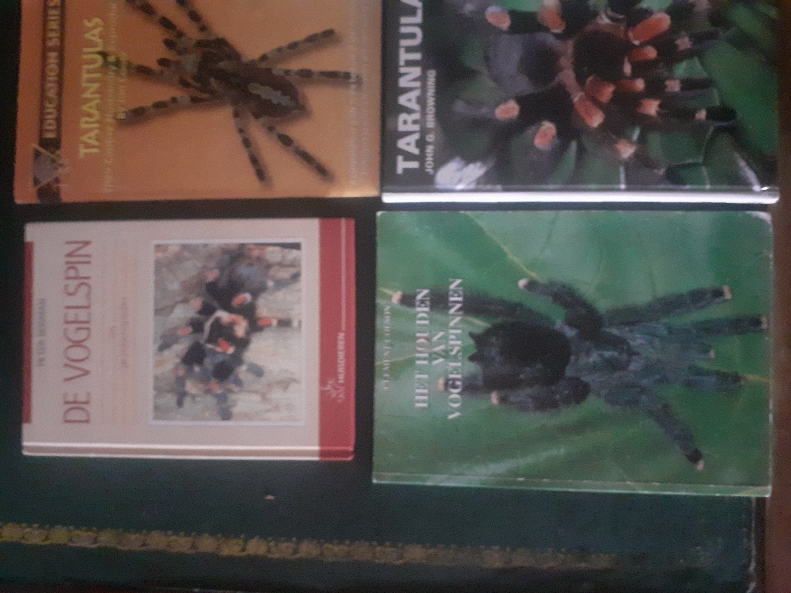 vogelspin boeken, Ophalen, Zo goed als nieuw