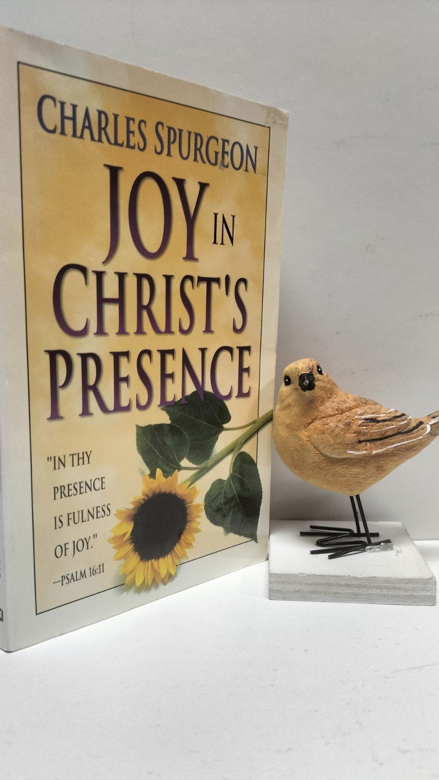 Spurgeon, C.H.; Joy in Christ’s presence, Ophalen of Verzenden, Gelezen, Christendom | Protestants