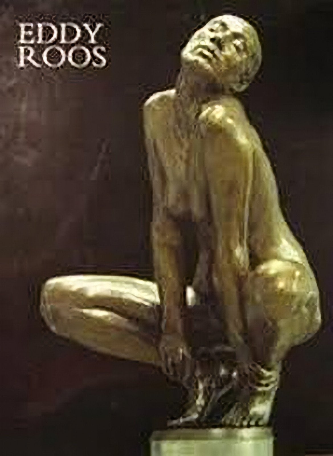 EDDY ROOS Beelden en Tekeningen. Nederlands, Verzenden, Zo goed als nieuw, Beeldhouwkunst
