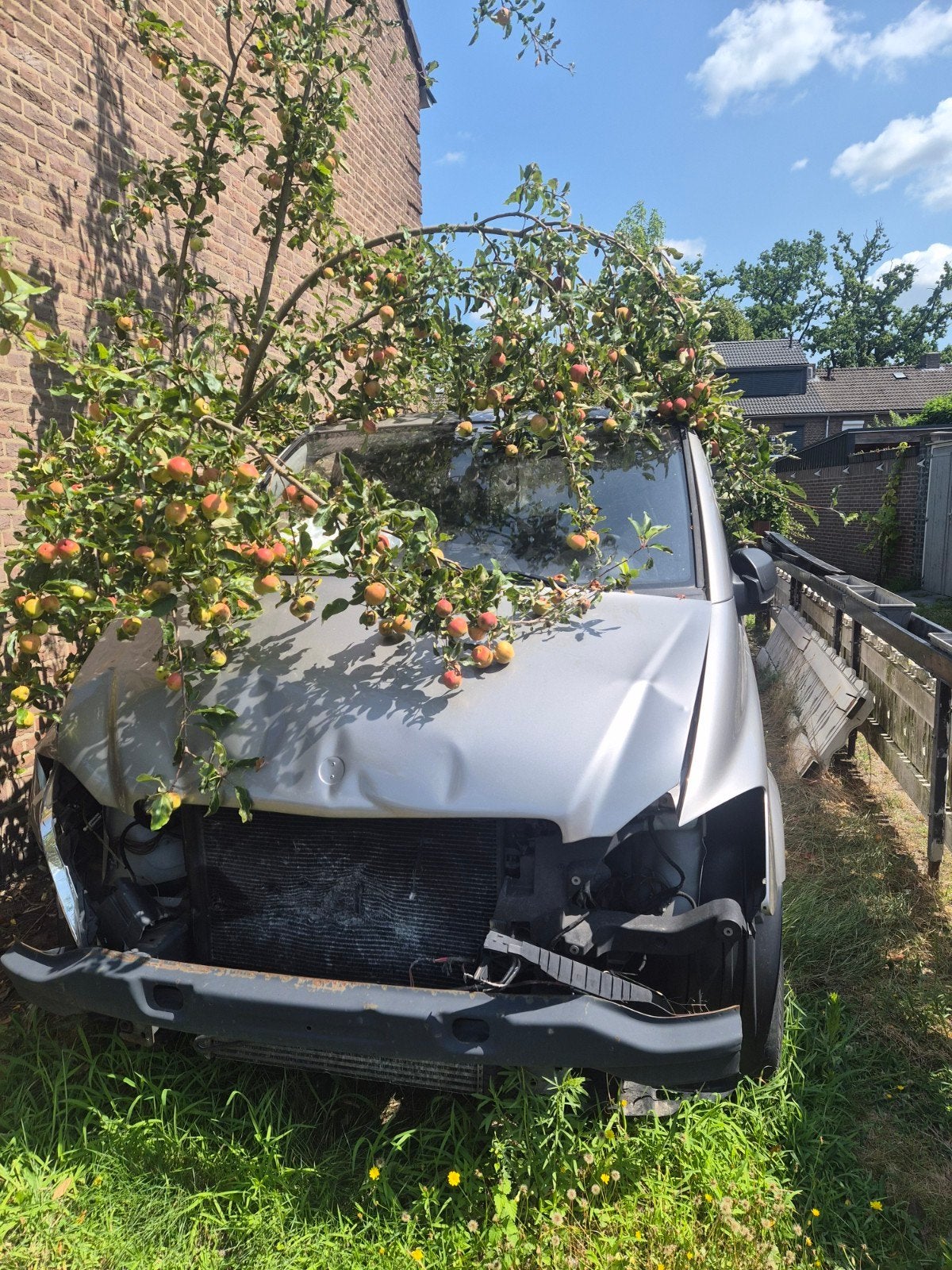 Mercedes-Benz Vito - Schadevoertuig voor onderdelen of repar, Ophalen, Overige carrosserieën, Mercedes-Benz, Diesel