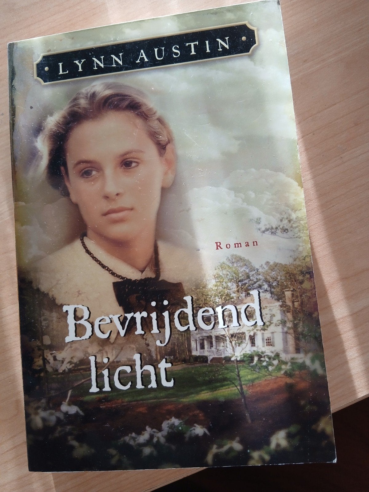 Bevrijdend Licht - Lynn Austin (Roman), Ophalen of Verzenden, Gelezen, Lynn Austin, Amerika