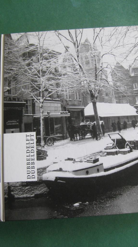 DubbelDelft, Boeken, Geschiedenis | Stad en Regio, Ophalen of Verzenden, 20e eeuw of later, Nieuw
