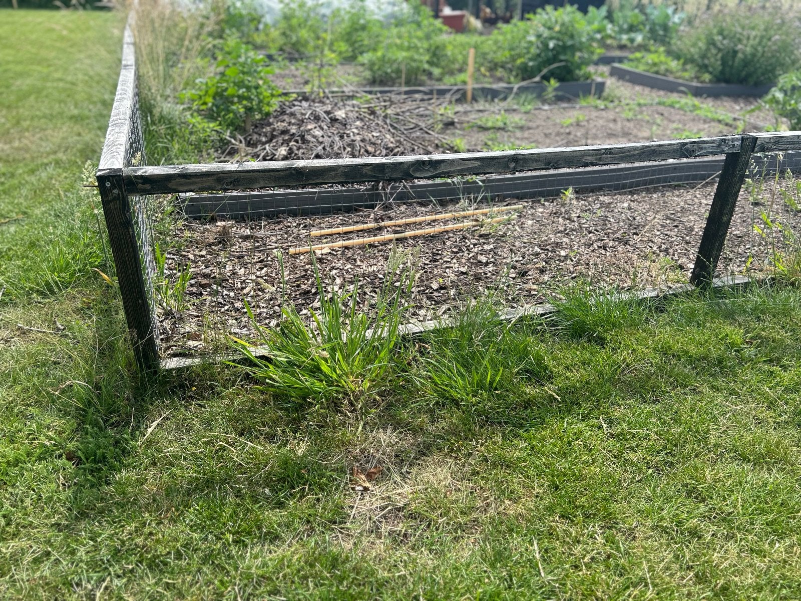 GRATIS - Tuinhek met gaas voor moestuin - ruim 18,5 meter, Ophalen of Verzenden, Gebruikt, Hout, Tuinhek