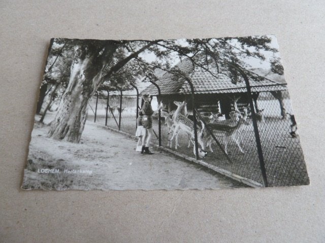 Lochem circa 1965 Hertenkamp, Ophalen of Verzenden, 1960 tot 1980, Gelopen, Gelderland