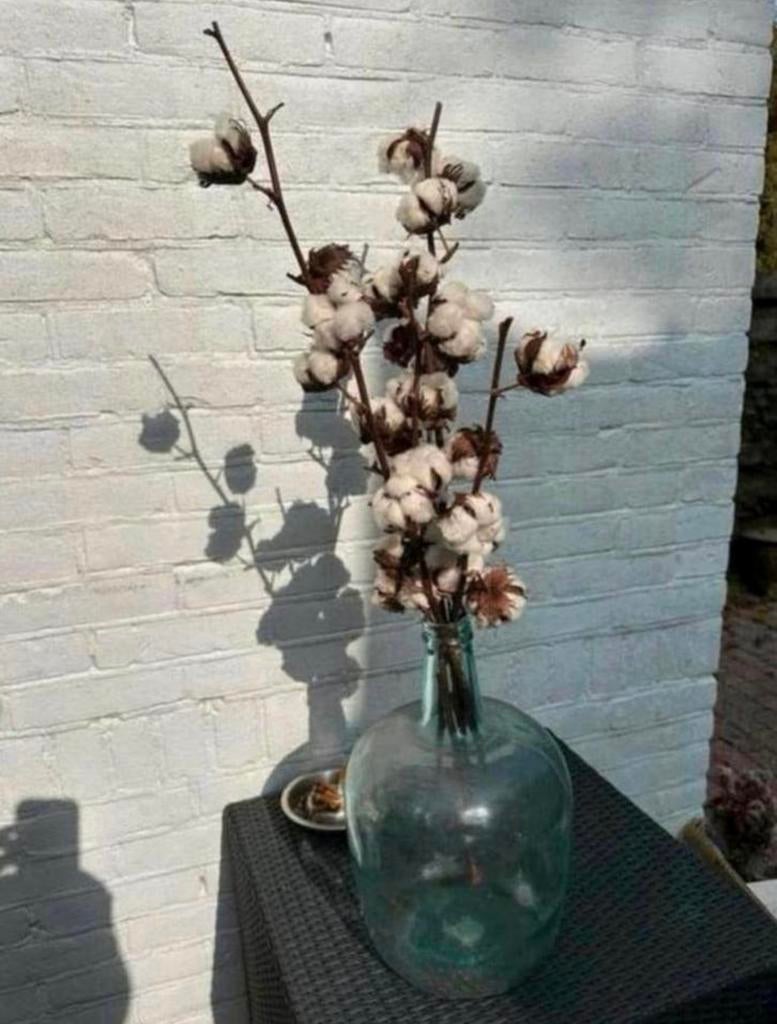 Blauwe gistfles van glas met katoentakken - droogbloemen, Huis en Inrichting, Woonaccessoires | Vazen, Ophalen of Verzenden, Zo goed als nieuw