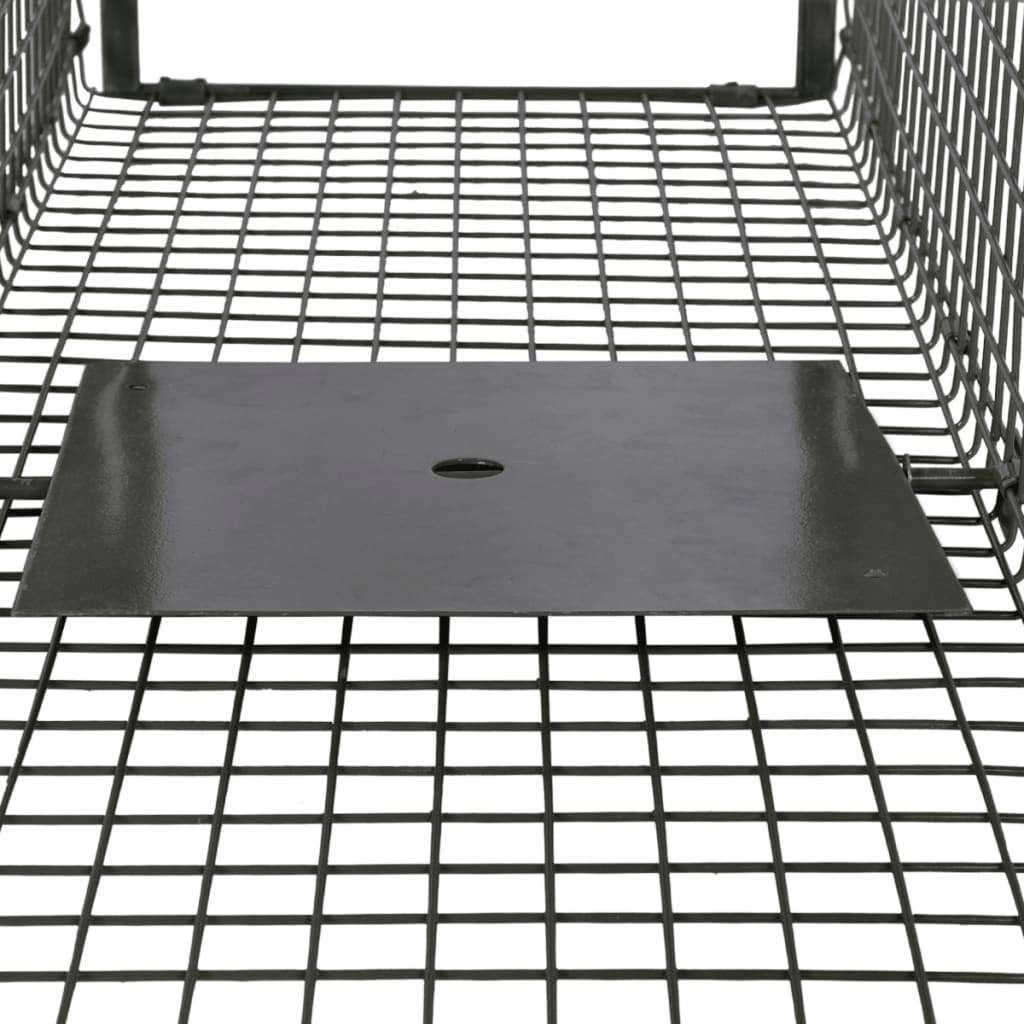 Steenmarter marter vangkooi rattenval marterval GRATIS BZRGD, Minder dan 60 cm, Verzenden, Nieuw, Nvt